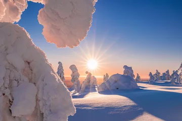 Foto op Aluminium Beautiful winter landscape at sunset. Lapland © Artem