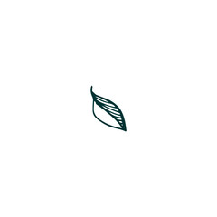 vector element leaf in green color leaf