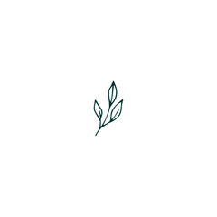 vector element leaf in green color leaf