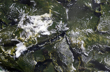 地底からふつふつと湧き出る源泉。まるで地球の奥底を覗いているような不思議な気持ちになった。地獄絵のような光景だ。うめき声が聞こえてくる。混沌とした世の中、地球温暖化という重大な危機を迎え、この母なる地球が、今、悲鳴を上げている。私たちは何をなすべきか、できることは何か。