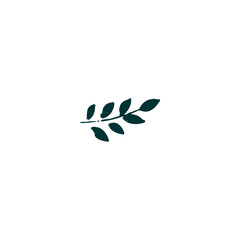 vector element leaf in green color leaf