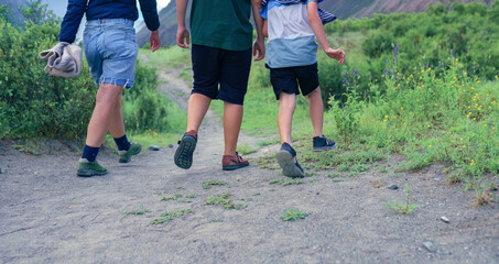 Fototapeta premium people walking in the countryside