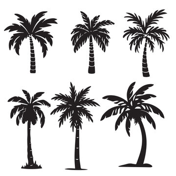 set of palm trees silhouettes