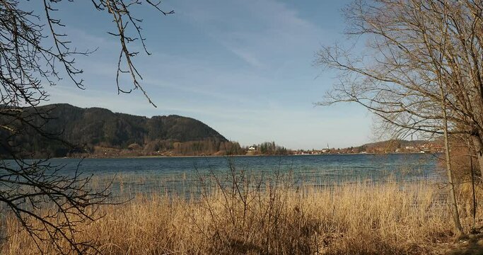 The calm waters of Lake Schliersee lined with reed beds along the Eastern bank under a blue winter sky over, Wörth island in middle and the town of Schliersee to the north of the lake