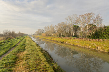 Canal with trees near Arles in winter
