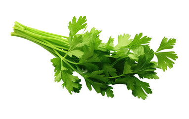 Select the Finest Parsley Branch for a Burst of Freshness on a White or Clear Surface PNG Transparent Background.