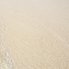 Sea beach sand texture background