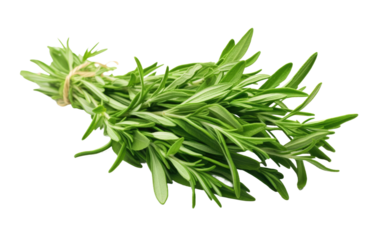 Bring the Essence of the Herb Garden to Your Meals with Tarragon Bunch on a White or Clear Surface PNG Transparent Background.