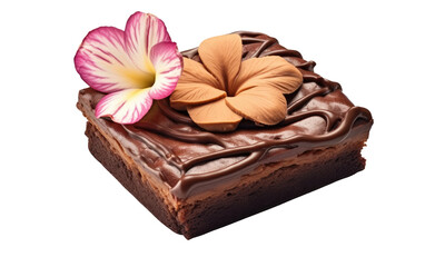 Palate with the Irresistible Duo of Vanilla Biscuit and Brownie on a White or Clear Surface PNG Transparent Background.