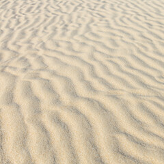 White sandy beach or desert sand dunes tileable texture. 