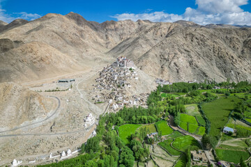Chimre monastery, aerial view, Ladakh, Northern India, Himalayas, India