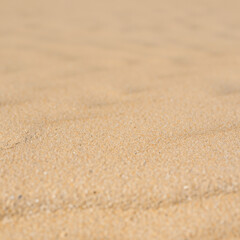 sand texture on the beach