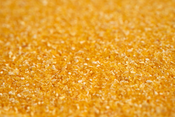 Ground corn in closeup, corn flour