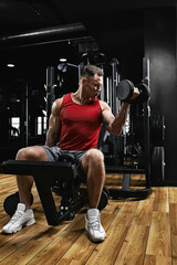 Young sports athlete fitness model, in the sports hall shakes biceps dumbbells portrait shot. Close-up Sports motivation, low key, high contrast. The concept of a healthy lifestyle, life movement