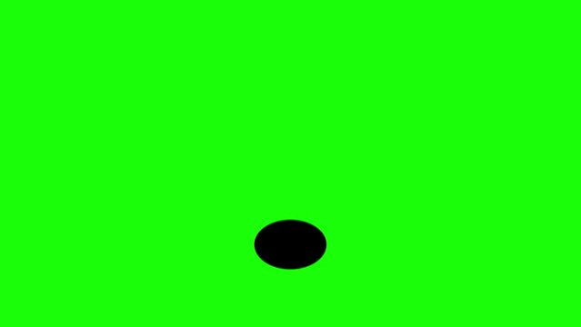 black and white ball bounce animated basketball bouncing looping alpha 4k
