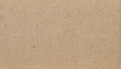 Fototapeta na wymiar Recycle paper cardboard surface texture background