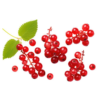 Red currant png. cranberries Vaccinium oxycoccus fruits, top view isolated on transpalate background