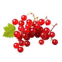 Red currant png. cranberries Vaccinium oxycoccus fruits, top view isolated on transpalate background - obrazy, fototapety, plakaty