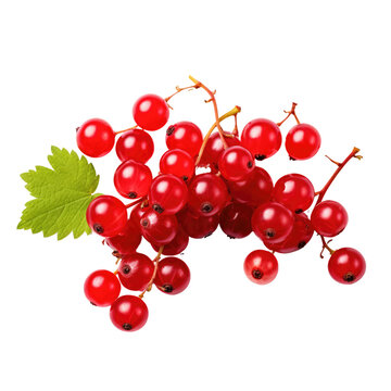 Red currant png. cranberries Vaccinium oxycoccus fruits, top view isolated on transpalate background