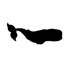 Silhouette of a whale isolated on a white background.