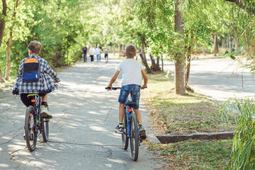 Naklejka premium Two joyful boys riding bicycles on bicycle lane in park with lush foliage on warm and sunny summer day, enjoying freedom and beauty of outdoors