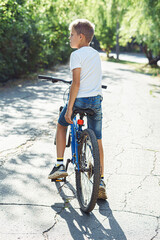 Schoolboy in white T-shirt and blue jean shorts sits on a blue bicycle on a bicycle lane in park with lush foliage at summer evening, rear view