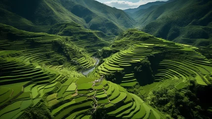 Poster Aerial view of a terraced rice field, emerald green squares cascading down a mountainside © Abdul