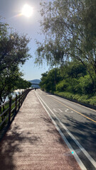 서울 한강 공원 한강공원 산책로 자연 배경화면