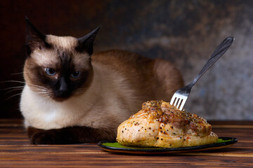 A domestic cat calmly sitting beside a plate filled with fried chicken meat of chicken