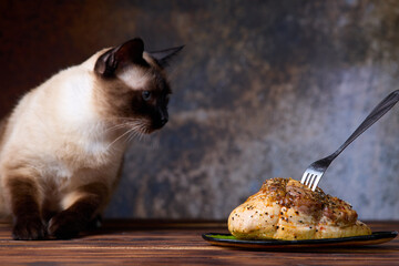 Siamese Cat Sitting Next to Plate of fried chicken meat