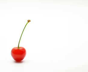 cherry on a white background