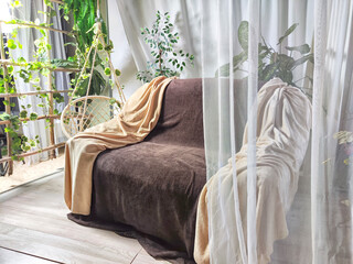 Stylish living room interior with cozy sofa, houseplant in winter garden, elegant curtains