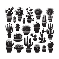 set different types of cactus vector