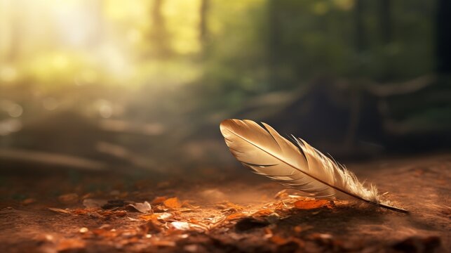 Fototapeta Single feather drifting through a sun-dappled forest, soft light and textures