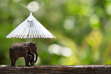 Umbrella for elephants and their families on natural background.
