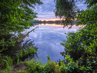 Looking through trees and brush on Small Calm Lake at Sunset - 729976973