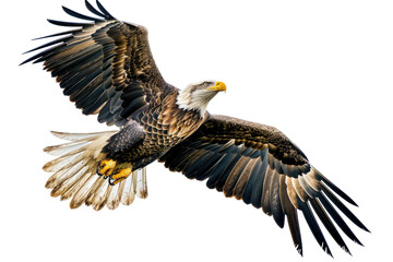 Eagle in Flight against a Blue Sky Isolated on Transparent Background