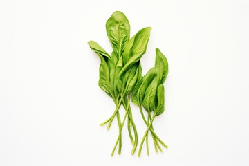 bunch of spinach leaves on a white surface