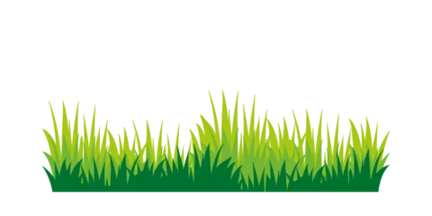 Fotobehang Gras Green grass silhouette. Cartoon line of shrub for boarding and framing, eco and organic logo element. spring field planting shapes lawn, green realistic seamless grass border.