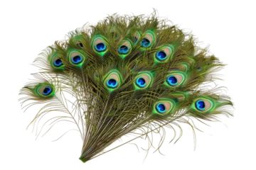 Fotobehang Peacock Feathers Fan Isolated on Transparent Background © MSS Studio