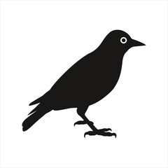 black silhouette of a Bluebirds  with thick outline side view isolated