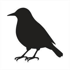 black silhouette of a Bluebirds  with thick outline side view isolated