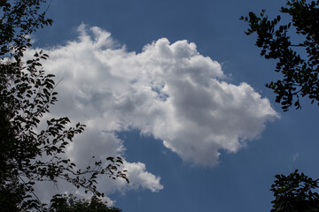 The shape of a shark's head with its mouth open in the clouds