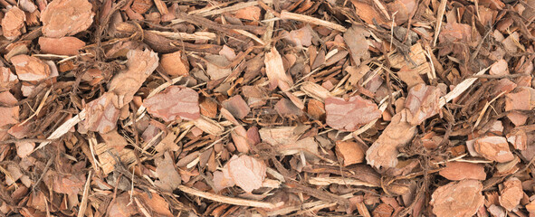 Chips of Pine Bark Background