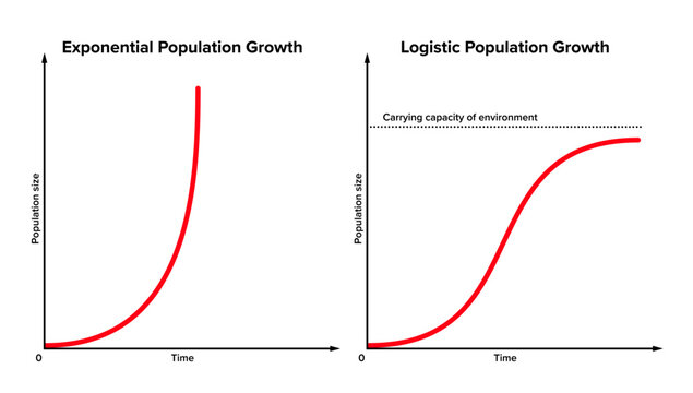 Exponential versus logistic population growth. In reality, initial exponential growth is often not sustained forever. After some period, it will be slowed by external or environmental factors. Vector