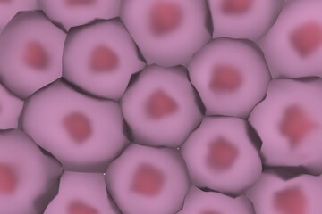 複数の動物細胞のイメージ