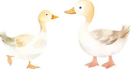 cute goose vector watercolor illustration