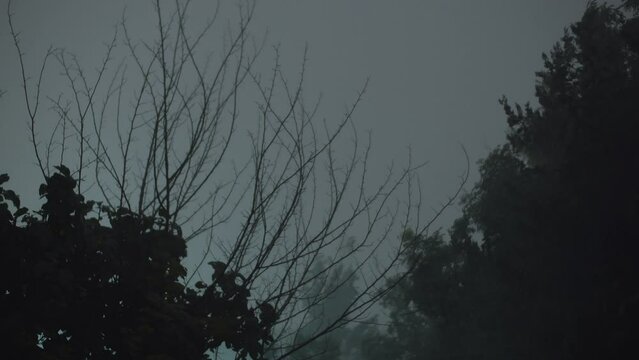 Stormy Night