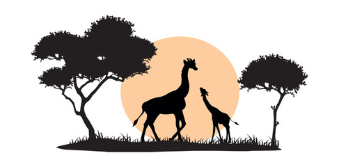 giraffes and savannah yellow sun vector silhouette
