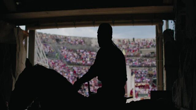 Warrior's Shadow Before Battle